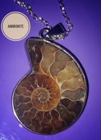 Ammonite Fossil Pendant, Item #P1869