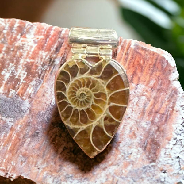 Ammonite in Sterling Silver Setting, Item #P2310- Sterling silver chain included