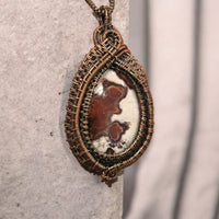 Bear in the Woods, Item #P2699
