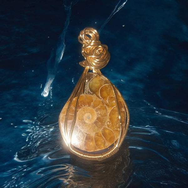 Ammonite, Item #2685