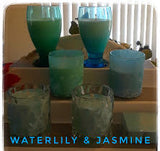 Waterlily & Jasmine Type Wax Melts 6 cavity